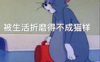 调理沙雕文案，调理沙雕文案搞笑