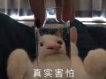 沙雕撩人搞笑文案，沙雕撩人搞笑文案短句
