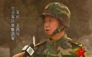 王西欣，