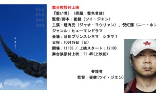 大宋映画短剧剧本，大宋映画短剧剧本大全