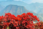 药王谷游玩攻略，药王谷游玩攻略大全