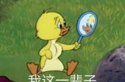 快乐沙雕照片文案，快乐沙雕照片文案怎么写