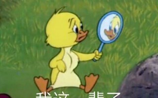 快乐沙雕照片文案，快乐沙雕照片文案怎么写