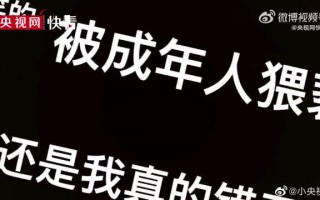一个说荤段子的女脱口秀，一个说荤段子的女脱口秀演员