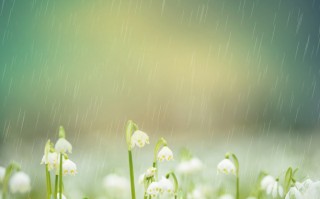 花都雨天游玩攻略，花都雨天游玩攻略大全