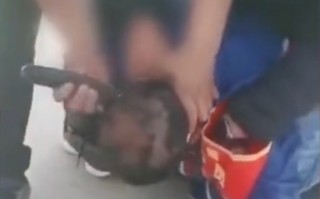 恶搞拿夹子视频，恶搞拿夹子视频大全