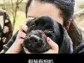 随便沙雕文案，随便沙雕文案怎么写