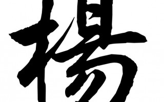 杨笠脱口秀幽默段子大全，杨笠脱口秀段子爆笑
