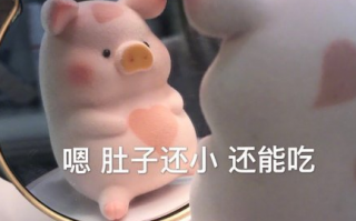 兽医文案沙雕句子，兽医文案沙雕句子搞笑