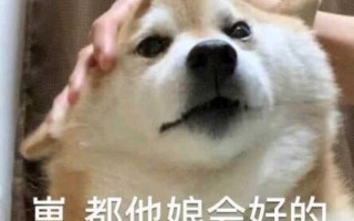 元气文案沙雕，元气文案沙雕搞笑