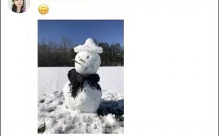下雪短句文案沙雕，下雪短句文案沙雕搞笑